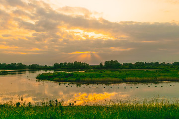 Sunset in dutch polder landscape