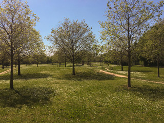 Panoramic view of the public garden in Verona, Italy. A large public park. Beautiful landscape on a sunny day.