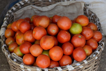 UN  PANIER DE TOMATE FRAICHE 