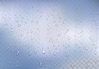 Realistic rain drops on the transparent background. Vector
