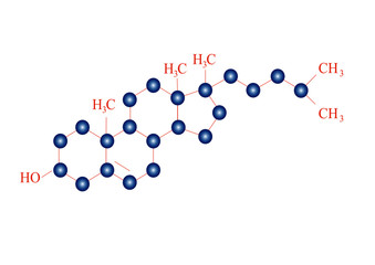 Cholesterol Molecular Structure on white