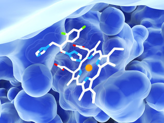 The antifungal drug fluconazole interacting with a heme group in the active site of the lanosterol 14 alpha-demethylase © Juan Gärtner
