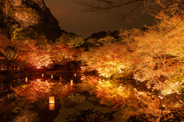 御船山楽園の紅葉ライトアップ