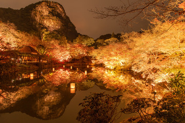 御船山楽園の紅葉ライトアップ