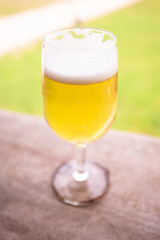 Craft Beer