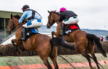 Close up on two competing Race horses and jockeys jumping a hurdle during a race