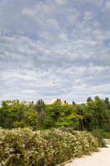Obraz premium Crane flying above a hidden building among green plants
