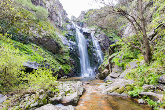 waterfall in forest