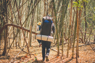 hiking group in forest, travel in mountain for camping at sunny day with color effect. subject is...