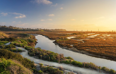 San Elijo Lagoon glow