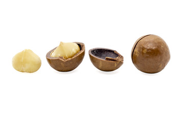 Macadamia nuts isolated on white background.