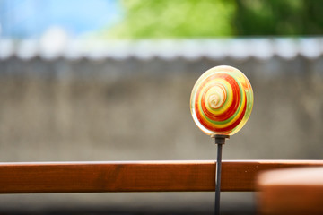 Bunter Lollipop im Frühling