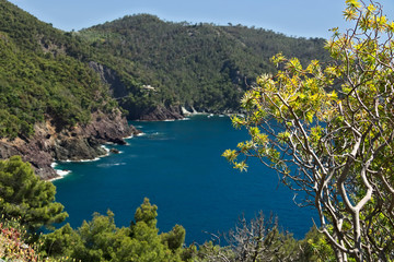 Fototapeta premium Seascape near the Cinque Terre, in Liguria, Framura, Italy. A blue sea with sheer mountains. Mediterranean trees and vegetation.