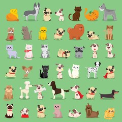 Vector illustration set of cute and funny cartoon pet characters. Different breed of dogs and cats in the flat style