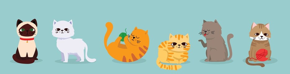 Cute vector illustrations set of cat breeds, pet animal set in a cartoon flat style