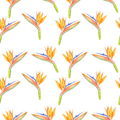 Fototapeta na wymiar seamless pattern with Strelitzia reginae flowers