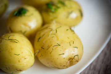boiled young potato with butter and dill in a plate