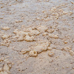 dirty waste water in sewage plant