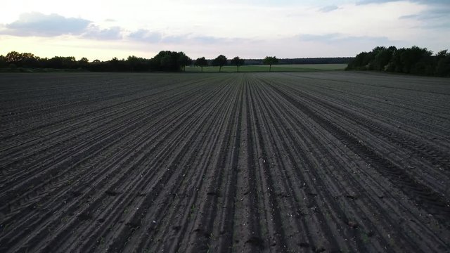 Frische Aussaat auf einem Feld f&uuml;r Maisernte