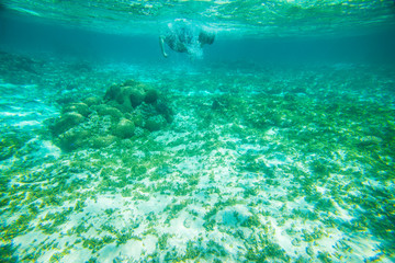 Landscape at the Fiji Islands, Oceania