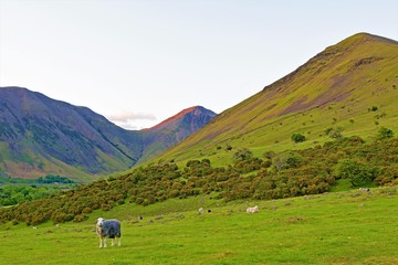 The Golden hour at Wasdale Head, Lake District, Cumbria