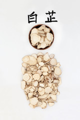 Angelica root herb used in chinese herbal medicine with calligraphy script. Translation reads as angelica root. Has antioxidant properties, is an anti inflammatory and is anti asthmatic. Bai Zhi.
