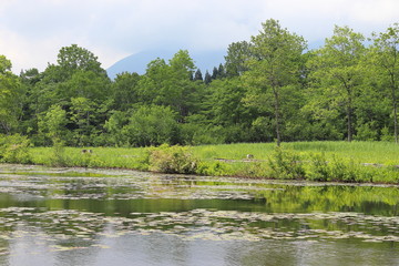 いもり池の風景