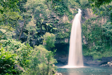 Landscape at the Fiji Islands, Oceania