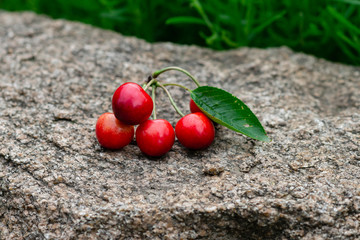 bunch of red ripe sweet cherries on a stone