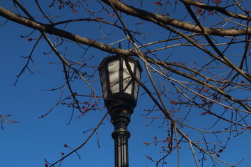 farol