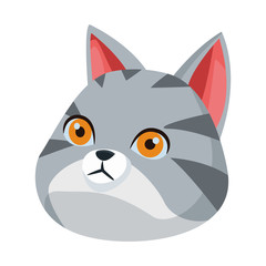 gray cat icon cartoon isolated
