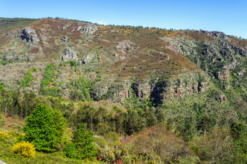 Fototapeta premium Tectonic folds in the slate cliffs of the geopark O Courel