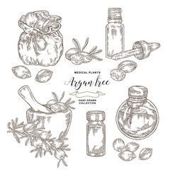 Argan tree, argania spinosa set. Nuts, leaves, wooden bowl, glass bottle of oil and rustic bag. Medical and cosmetic plants. Vector illustration engraved.