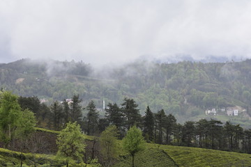 landscape in the mountains