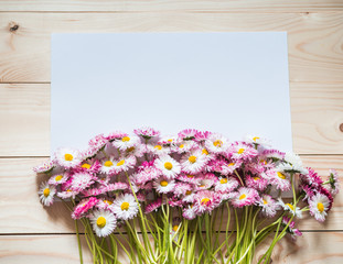Pink Daisies Flat lay. Daisy Flowers with Blank Paper on Wooden Background. Copy Space