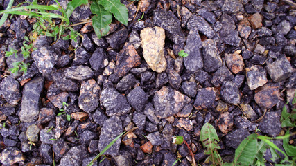 beautiful textured background of natural stone, natural crushed stone of rich color, young grass sprouted among stones