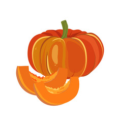 Big orange pumpkin and a slice. Vegetables from the garden. Vector illustration. - 271651205