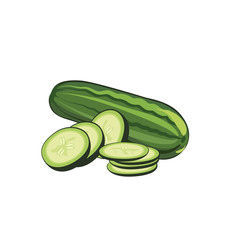 Green cucumber a host on sliced. Vegetables from the garden. Vector Illustration. - 271651211