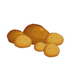 Potato. Vegetables from the garden. Vector illustration. - 271651213