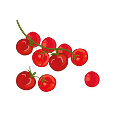 Red cherry tomatoes, raw vegetables. Whole and sliced. Vector illustration. - 271651228