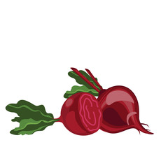 Red beet. Vegetables from the garden. Vector illustration. - 271651234
