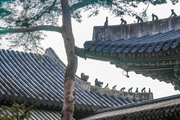 Fototapeta na wymiar Korean temple