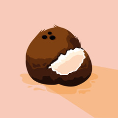 Fresh coconut fruit design vector illustratio