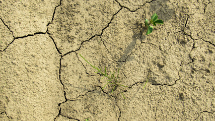 dry cracked ground in the summer