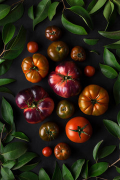 Overhead view of tomatoes with leaves