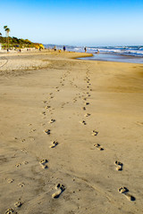 Footprints of a Couple and their Dog