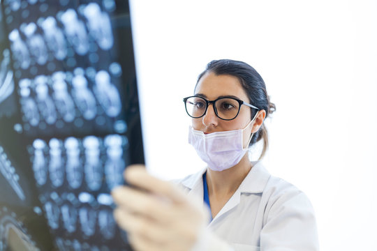 female dentist reviewing the patient's x-ray