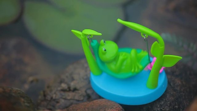 plastic frog hammock smoke lake background hd footage 