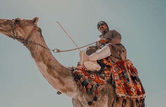 Cairo, Egypt - April, 12 2019: Elderly Arab male in traditional clothes riding camel against cloudless sky on sunny day