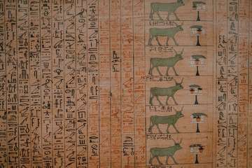 Cairo, Egypt - April, 12 2019: Old wall covered with hieroglyphs in ancient tomb
